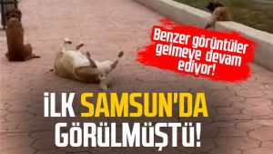 İlk Samsun'da görülmüştü! Benzer görüntüler gelmeye devam ediyor