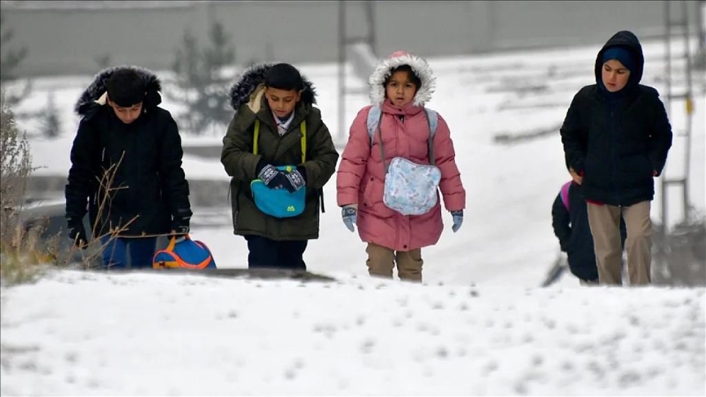 Kars, Ardahan, Ağrı ve Tunceli'de kar yağışı etkili oldu