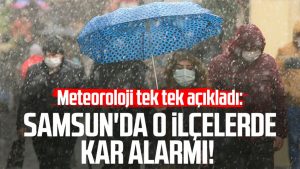 Samsun'da o ilçelerde kar alarmı!