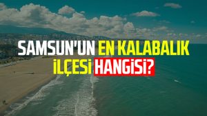 Samsun'un en kalabalık ilçesi hangisi?