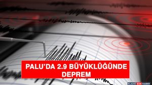 Palu’da 2.9 Büyüklüğünde Deprem