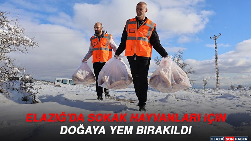 Elazığ'da Sokak Hayvanları İçin Doğaya Yem Bırakıldı