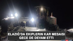 Elazığ’da Ekiplerin Kar Mesaisi Gece De Devam Etti