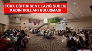 Türk Eğitim Sen Elazığ Şubesi Kadın Kolları Buluşması