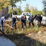 Yenişehir Millet Bahçesinde kapsamlı çalışma başlatıldı