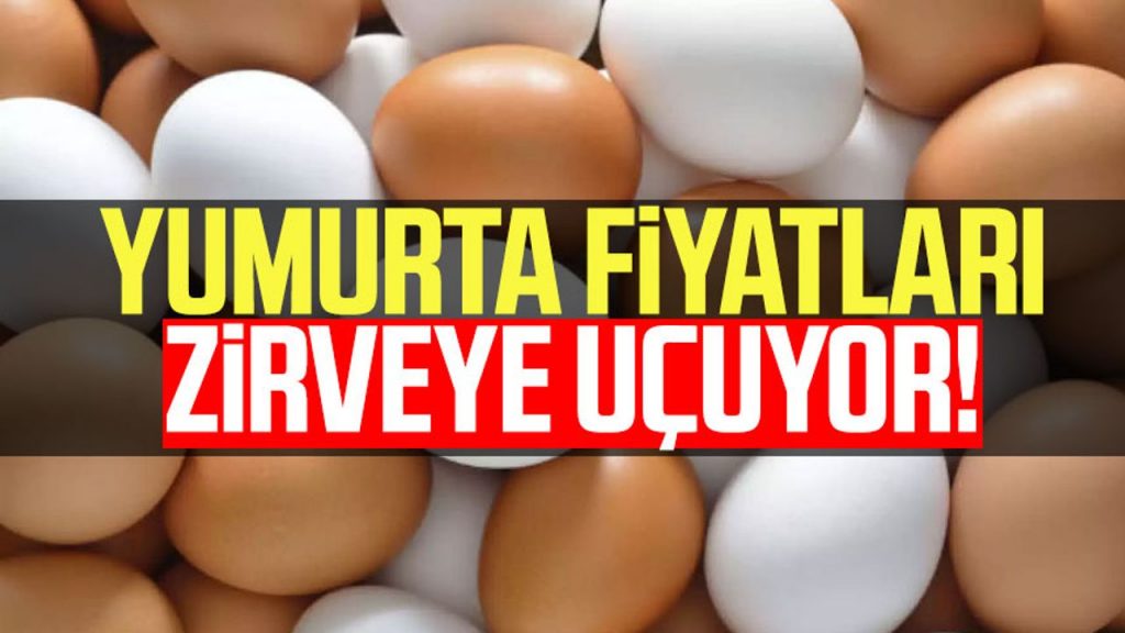 Yumurta fiyatları zirveye uçuyor!