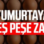 Yumurtaya peş peşe zam