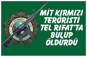 MİT kırmızı bültenle aranan PKK'lıyı Tel Rıfat'ta öldürdü