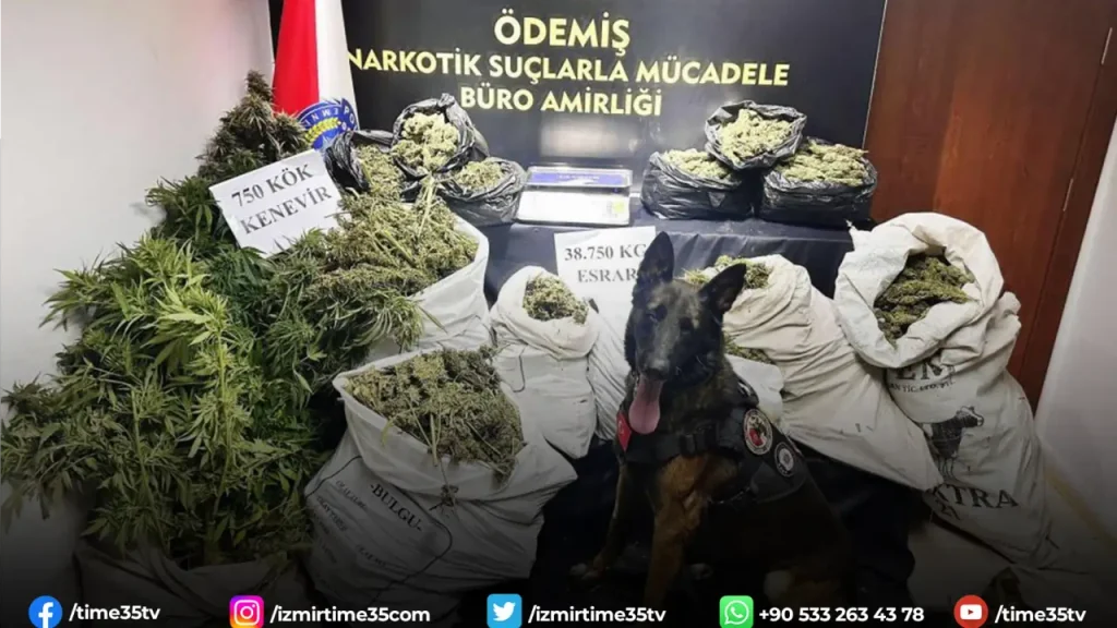 Hayvan damında uyuşturucu imalatı ve ticaretine polis operasyonu