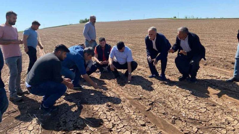 Tarım ve Orman İl Müdürlüğü çiftçileri uyardı! ÇKS başvuruları için son tarih 31 Aralık