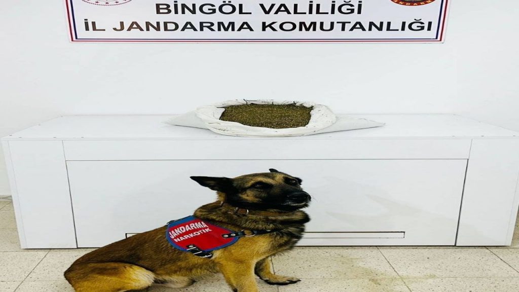 Bingöl'de 7,5 Kilo Uyuşturucu Ele Geçirildi