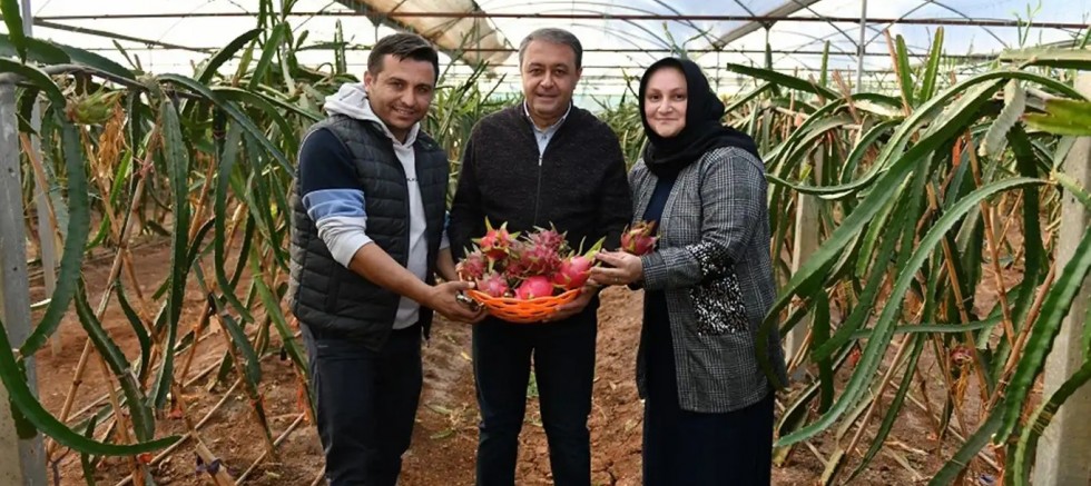 Vali Şıldak: Tarımdaki çeşitlilik bölgemiz için önemli