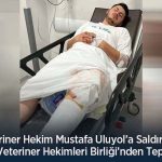 Veteriner Hekim Mustafa Uluyol’a Saldırı: Türk Veteriner Hekimleri Birliği’nden Tepki