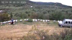 Kovan hırsızı yakalandı