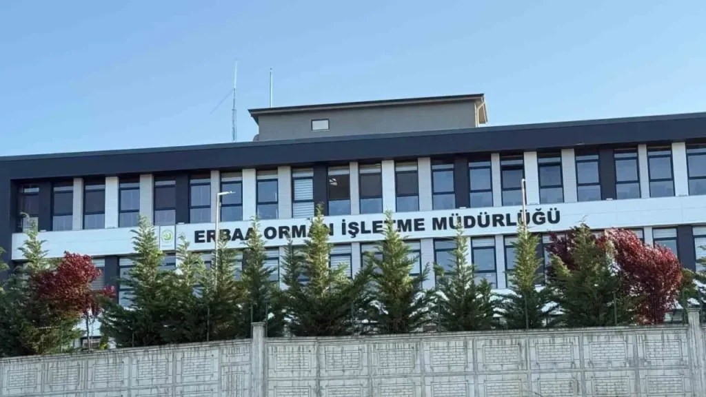 Tokat'ta orman ihalelerinde yolsuzluk operasyonu: 7 kamu görevlisi serbest