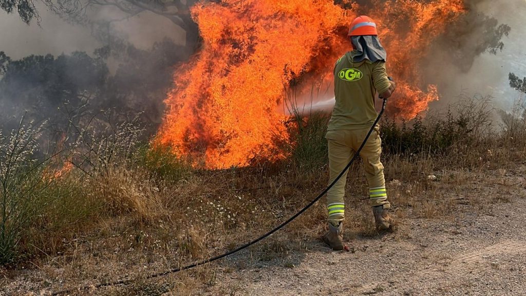 Muğla'da orman yangını: 2 hektar orman zarar gördü