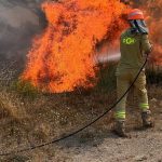 Muğla'da orman yangını: 2 hektar orman zarar gördü