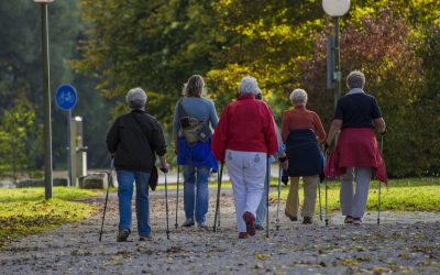 Fit in den Frühling durch Nordic Walking