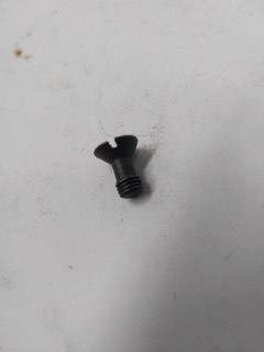 Screw Sight Rear