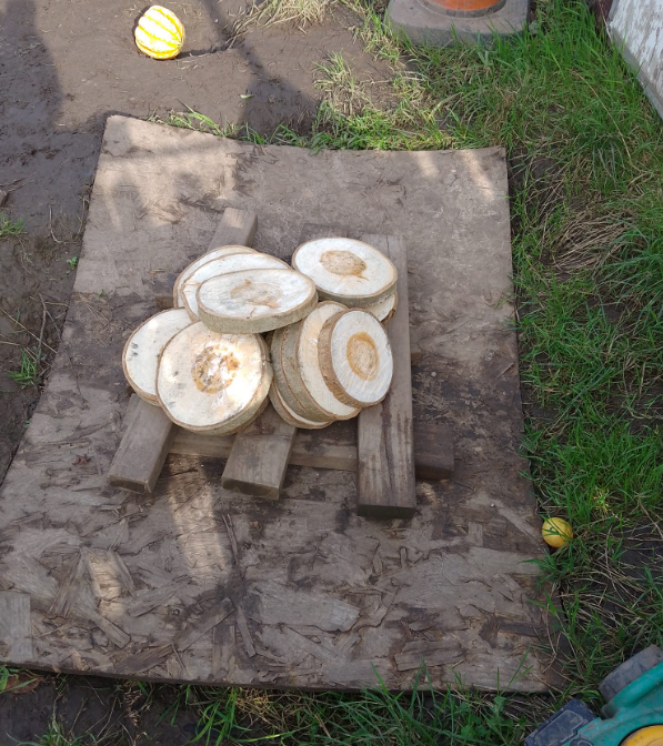 Logs sliced in a pile on some cardboard