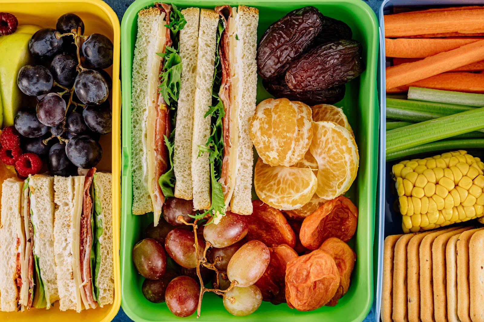 A sandwich in a packed lunch box with orange segments, grapes and dates.