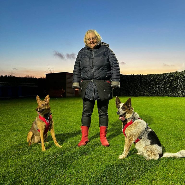 dog trainer standing in a field with two sitting dogs