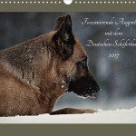 Hundekalender: Faszinierende Augenblicke mit dem Deutschen Schäferhund 2017