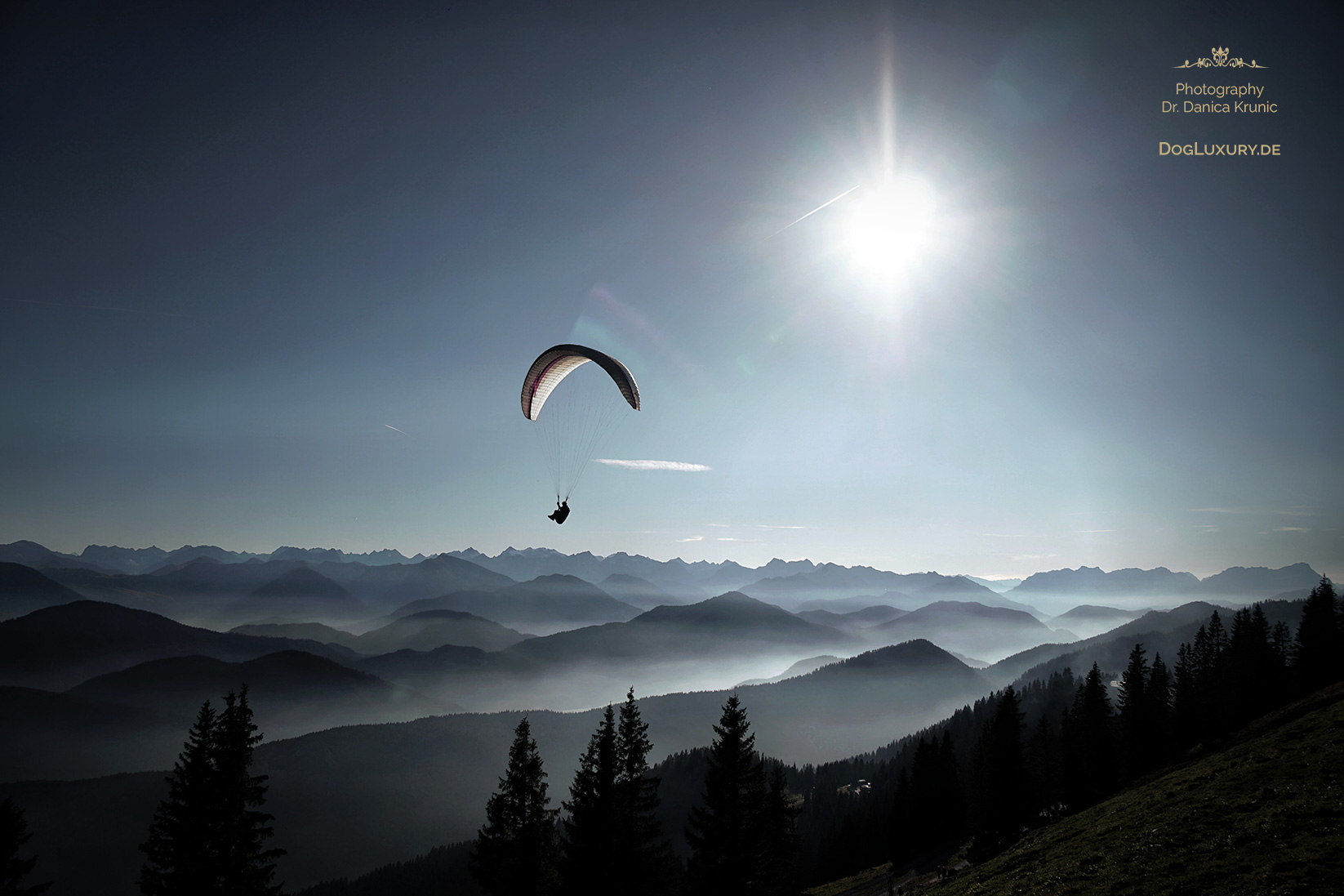 Wandern mit dem Hund: Gleitschirmflieger auf dem Brauneck