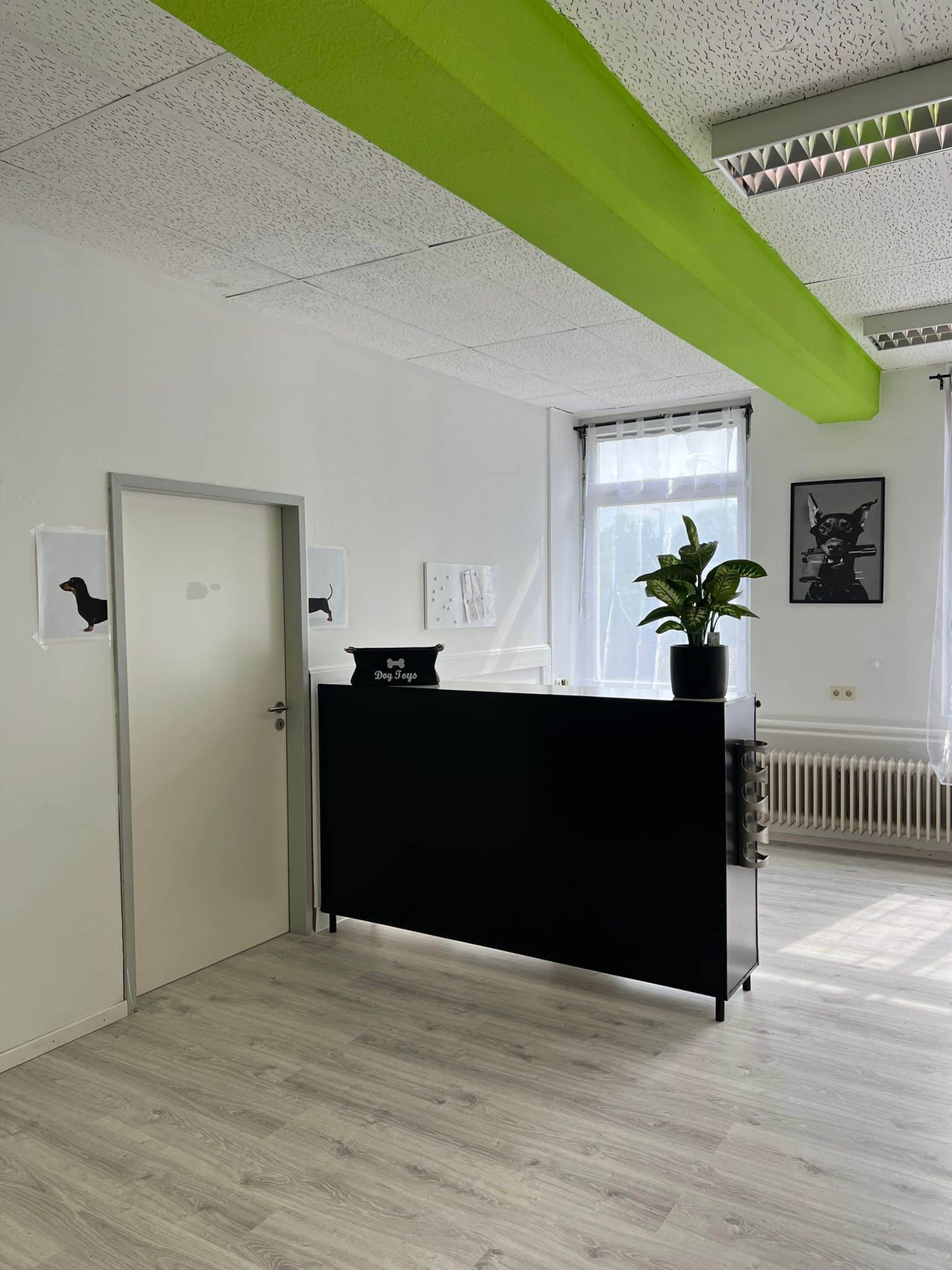Hundesalon-5-dogscut-Reutlingen