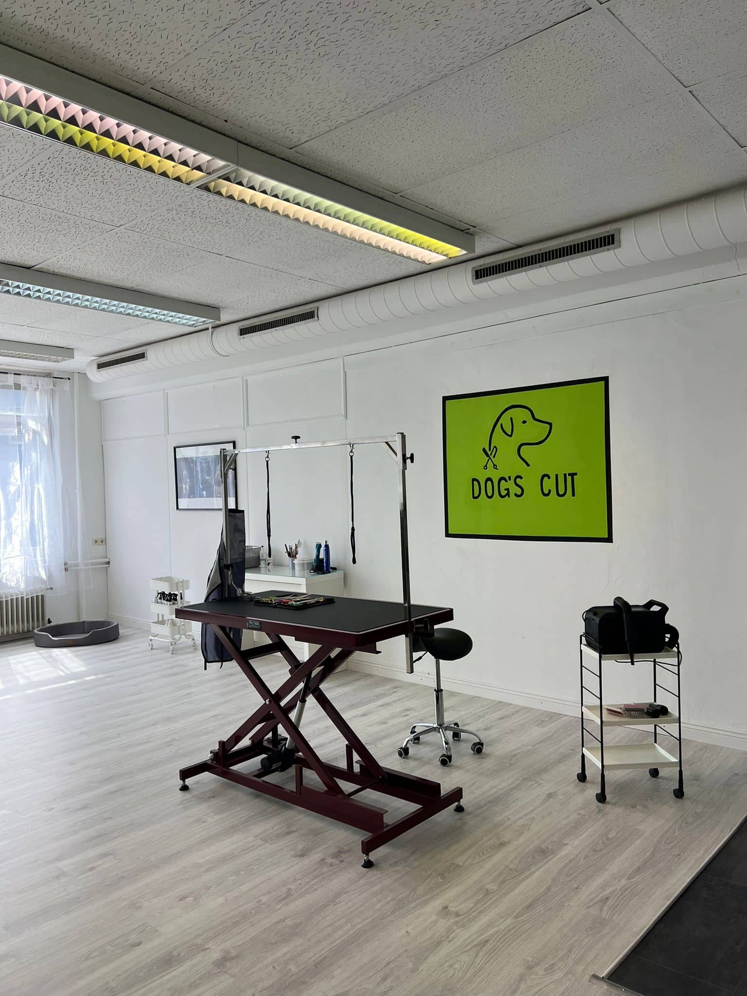Hundesalon Preise