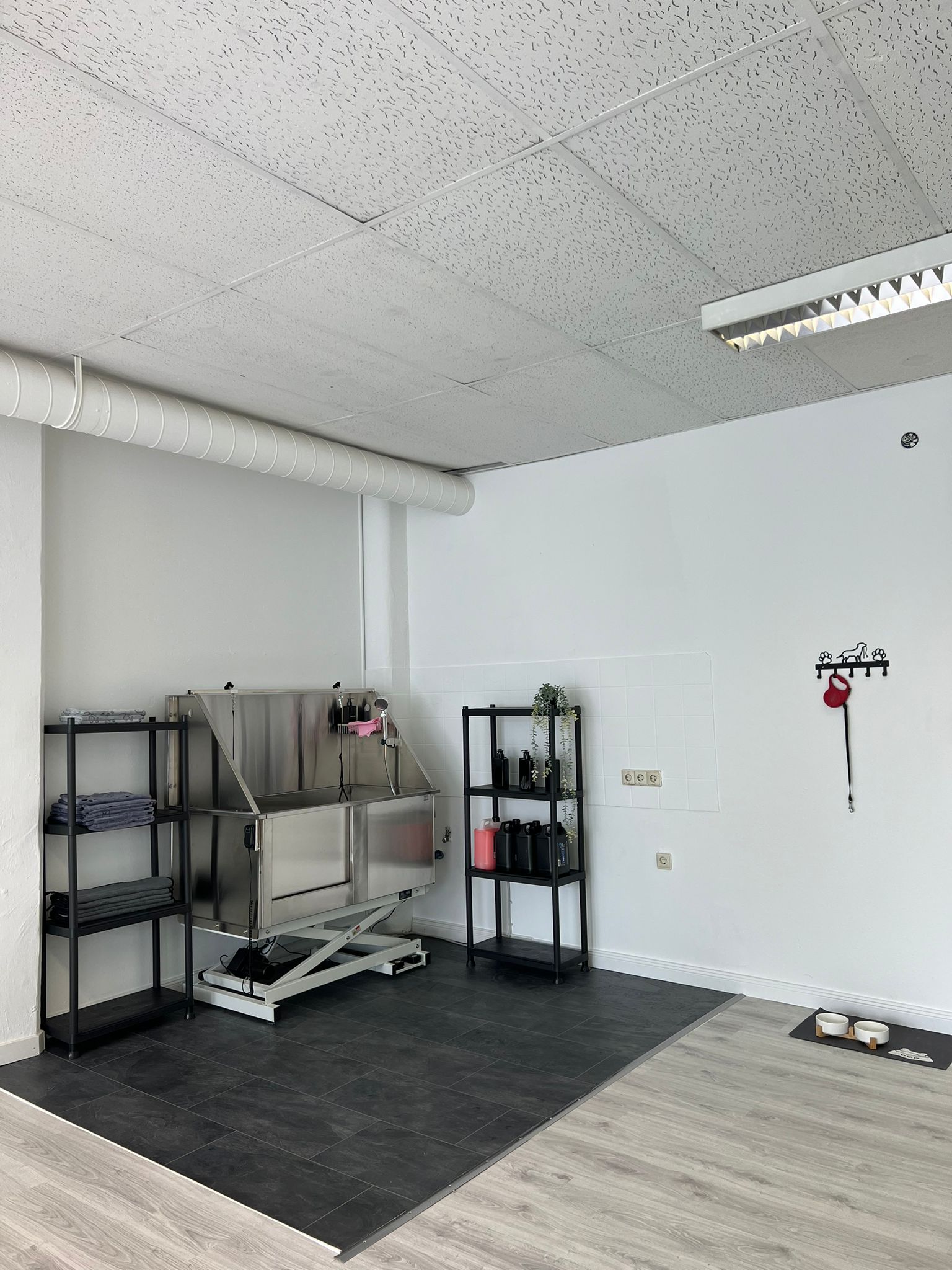 Hundesalon-3-dogscut-Reutlingen