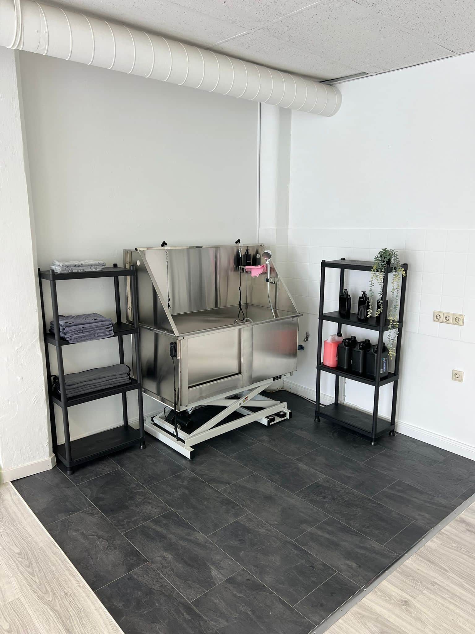 Hundesalon-2-dogscut-Reutlingen