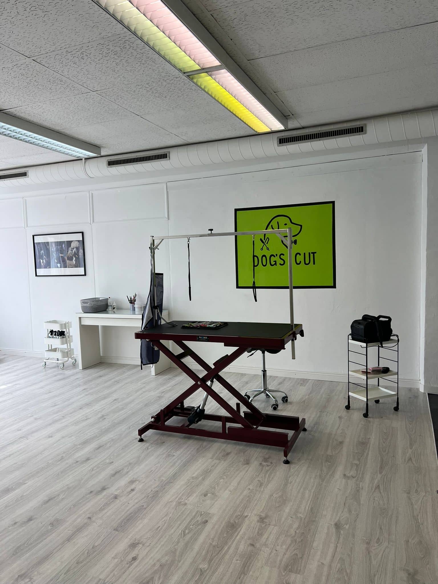 Hundesalon-1-dogscut-Reutlingen