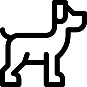 Dogtalk hondenschool hondentraining hond puppy puppycursus puppytraining