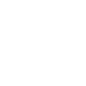 Dogtalk hondenschool hondentraining hond puppy puppycursus puppytraining