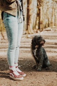 Dogtalk hondenschool hondentraining hond puppy puppycursus puppytraining