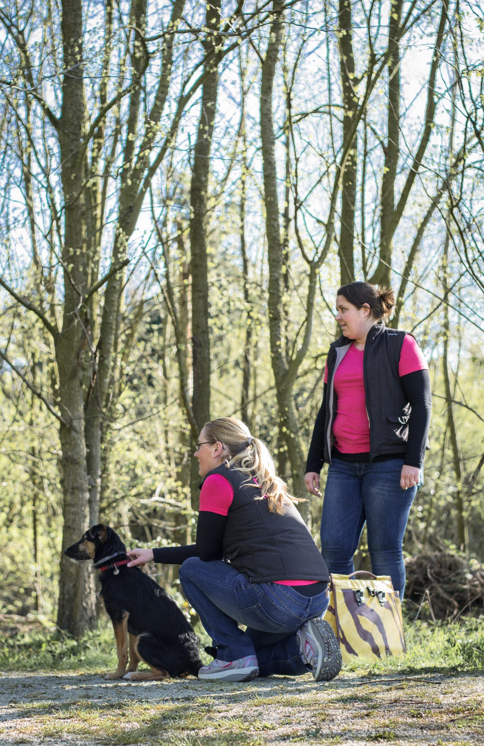 Dogtalk hondenschool hondentraining hond puppy puppycursus puppytraining