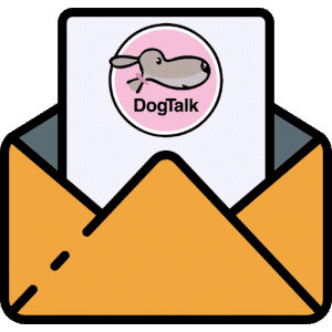 Dogtalk hondenschool hondentraining hond puppy puppycursus puppytraining