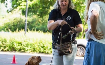 Het belang van een puppycursus en hondenschool vlakbij Haarlem voor effectieve puppytraining