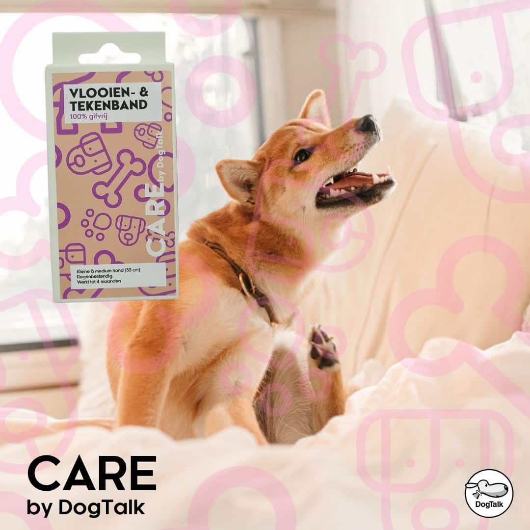 CARE by DogTalk Vlooien- en tekenband