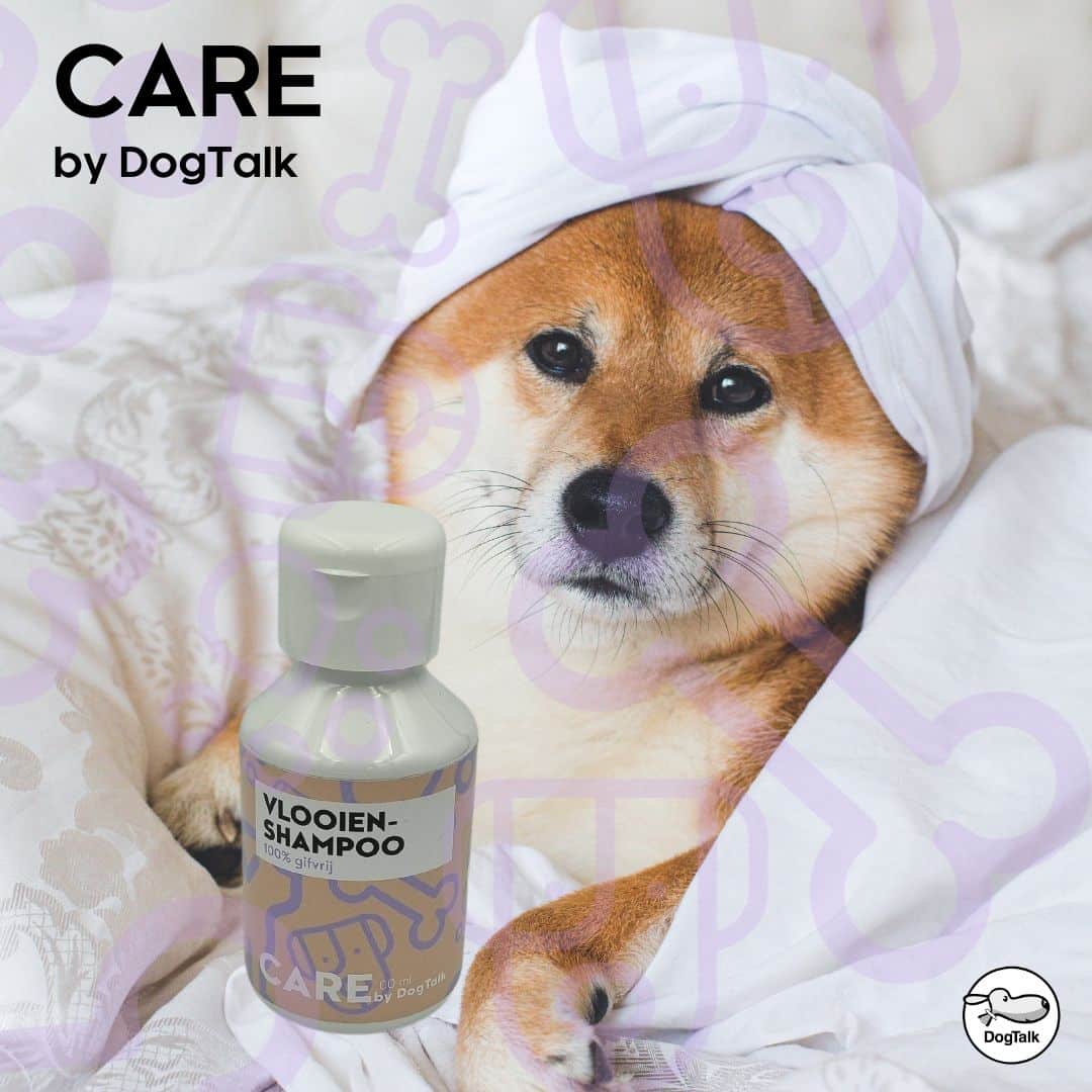 CARE by DogTalk Vlooienshampoo