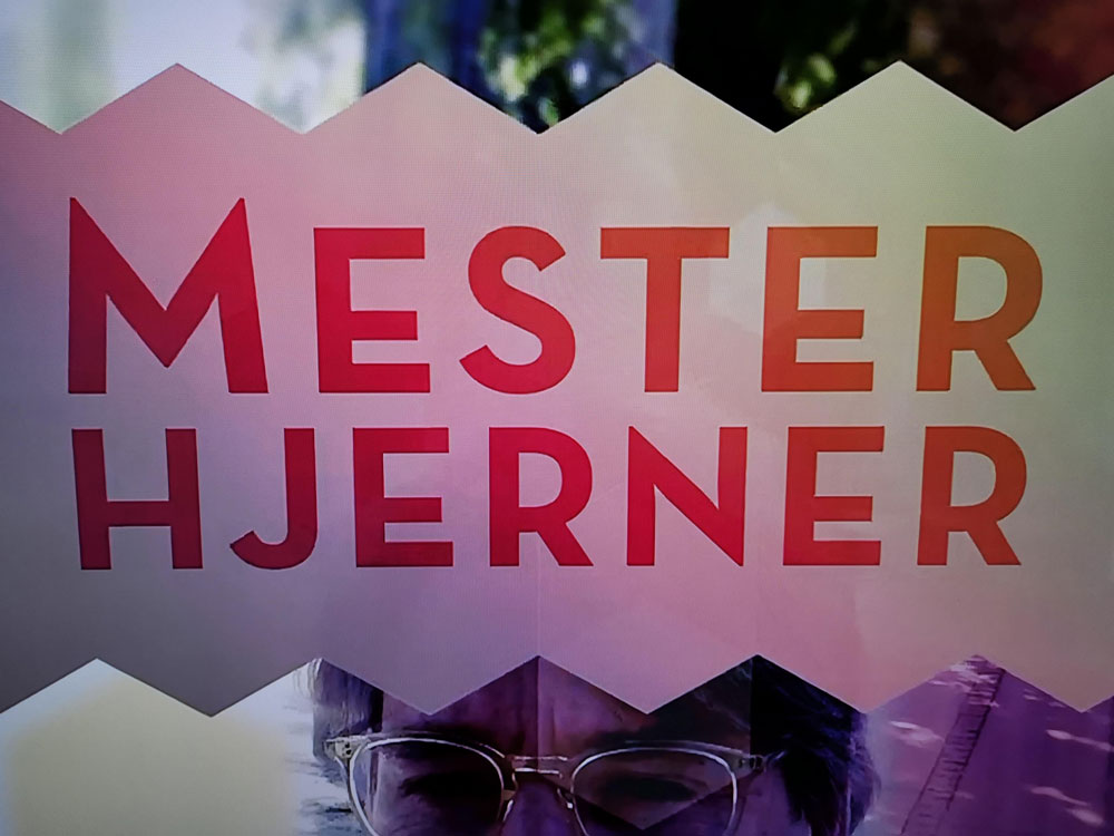 Mesterhjerner domesticmanager.dk 