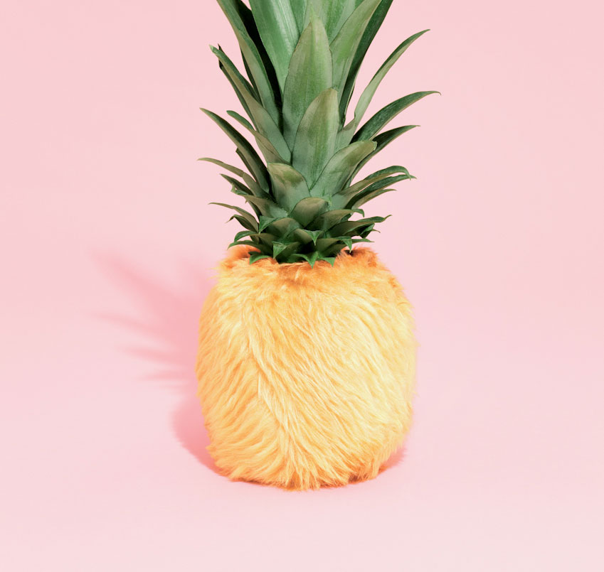 tk_dominik_geiegr_ananas_pineapple