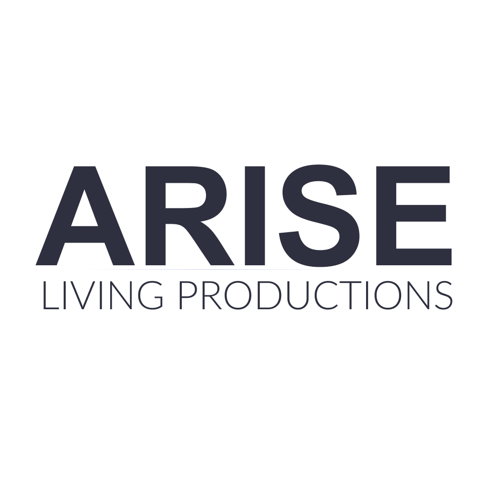Arise Donation Widget for Swish