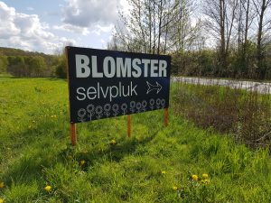 BlomsterSelvpluk