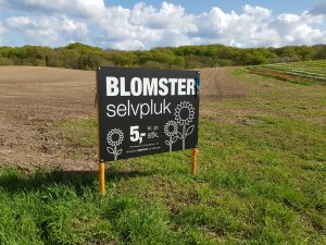 BlomsterSelvpluk