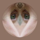 ME FALCON 2 EMBLEM