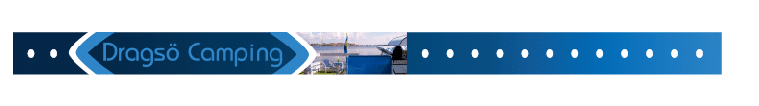 Image module