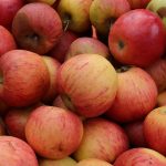Benoni-appels in de Drakentuin