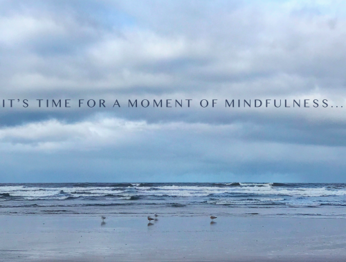 A moment of mindfulness